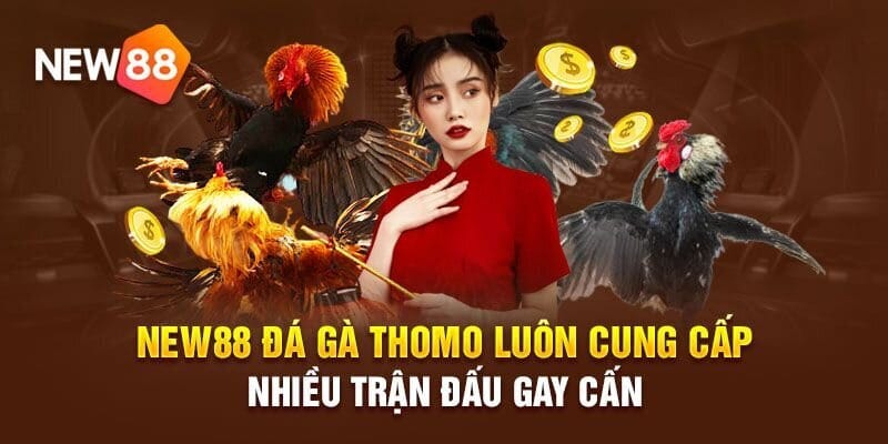 Các hình thức đá gà tại trang web New88