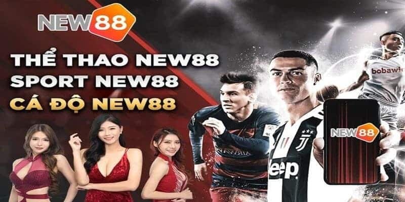 Trò chơi cá cược thể thao cực kỳ hấp dẫn trên New88