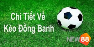 Khám phá kèo chấp đồng banh là gì?